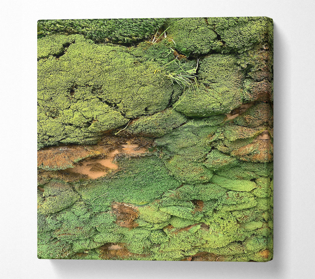  A Canvas Print of Emerald Mossy Wall Canvas Wall Art