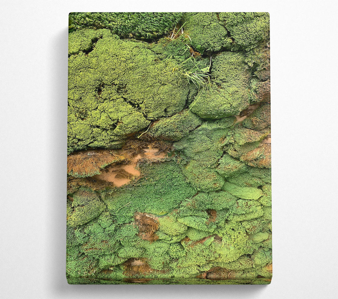  A Canvas Print of Emerald Mossy Wall Canvas Wall Art