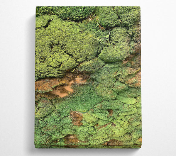  A Canvas Print of Emerald Mossy Wall Canvas Wall Art