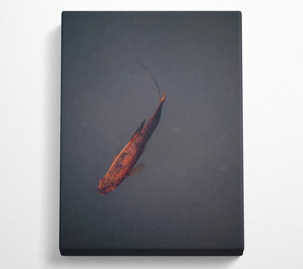  A Canvas Print of Red Fish In Blue Water. Canvas Print