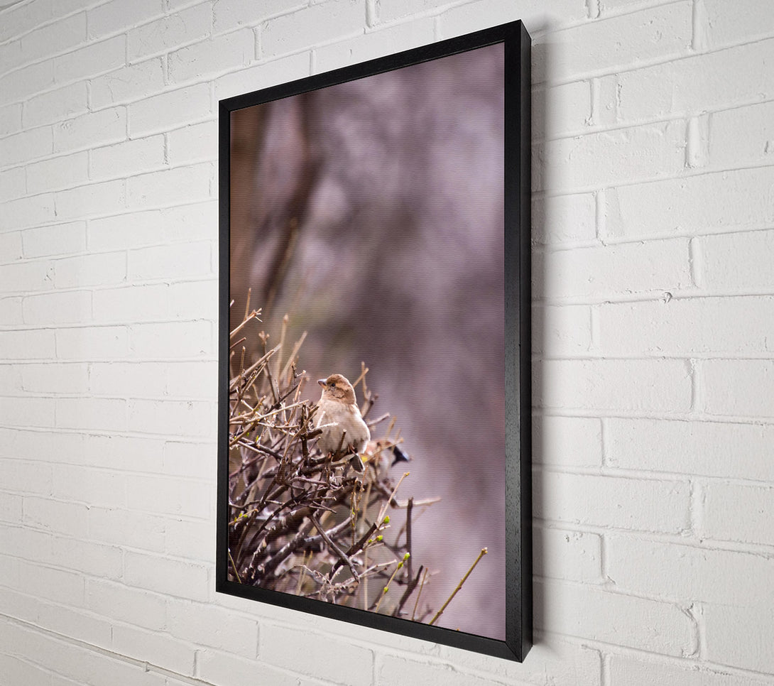  A Canvas Print of Brown Bird On Branches Canvas Wall Art