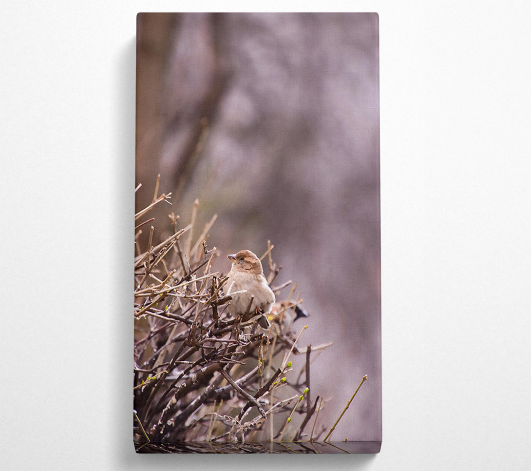  A Canvas Print of Brown Bird On Branches Canvas Wall Art