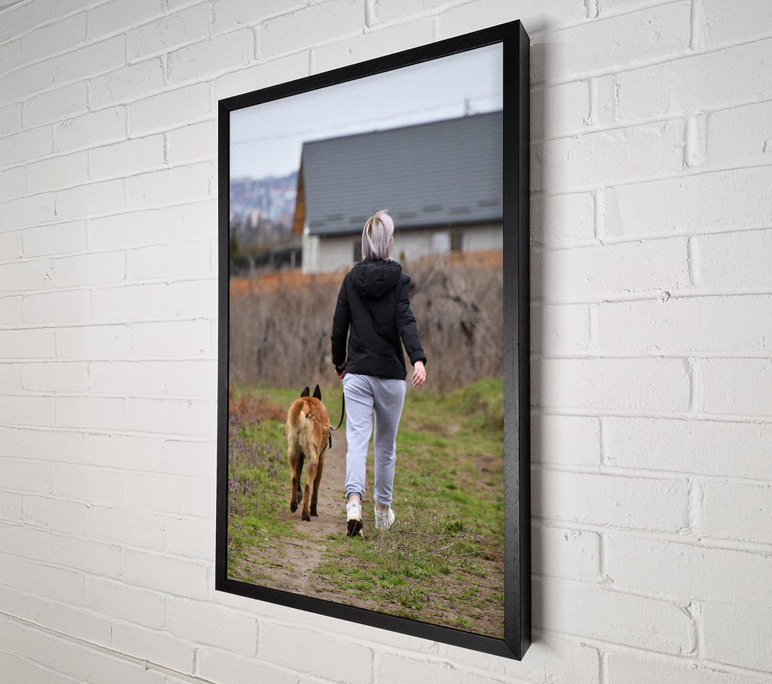  A Canvas Print of Brown Dog Walk Canvas Print