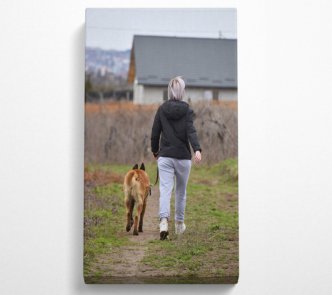  A Canvas Print of Brown Dog Walk Canvas Print