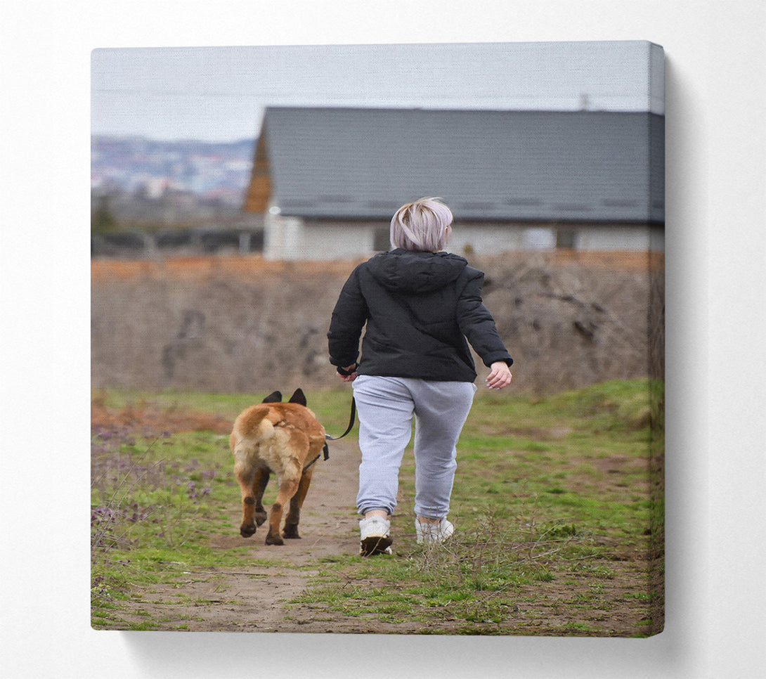  A Canvas Print of Brown Dog Walk Canvas Print