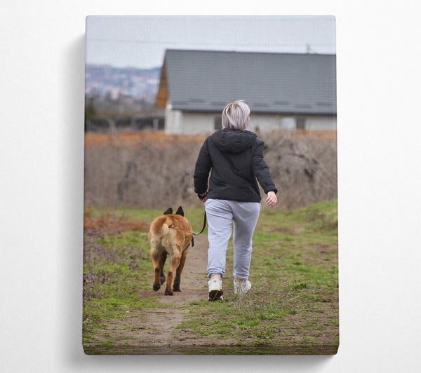  A Canvas Print of Brown Dog Walk Canvas Print