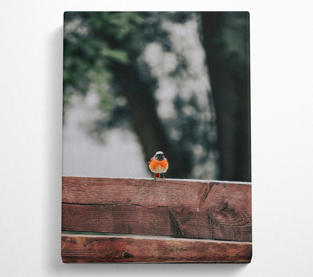  A Canvas Print of Red Bird On Wood Canvas Art