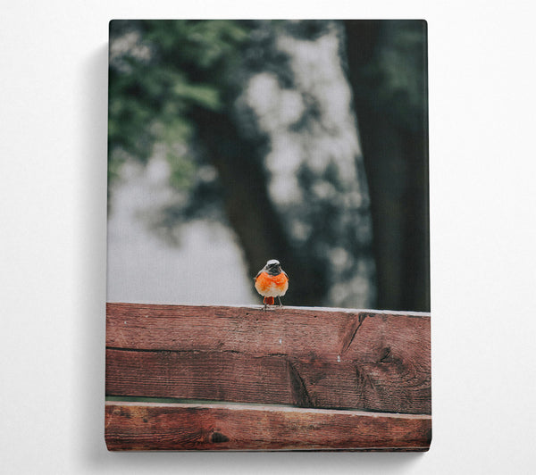  A Canvas Print of Red Bird On Wood Canvas Art