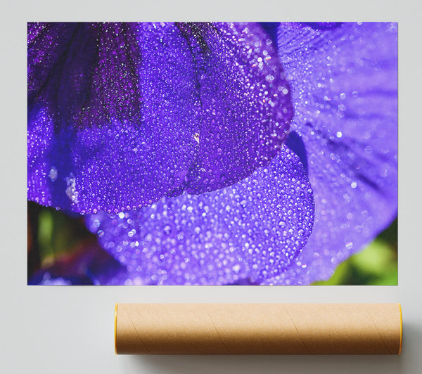 Purple Dewdrops Sparkle Print