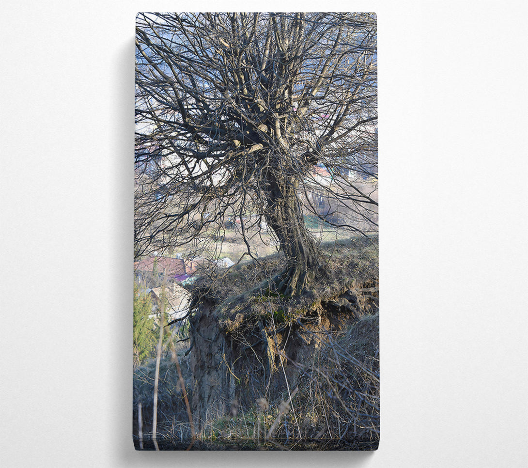  A Canvas Print of Brown Tree Roots Canvas Art
