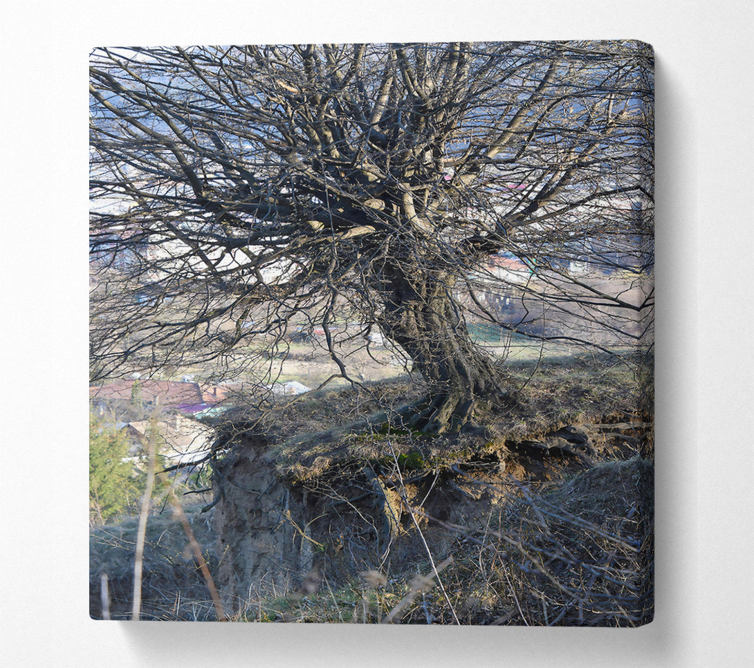  A Canvas Print of Brown Tree Roots Canvas Art