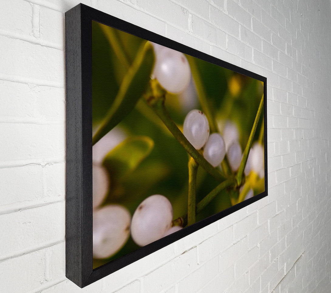  A Canvas Print of White Winter Berries Canvas Print