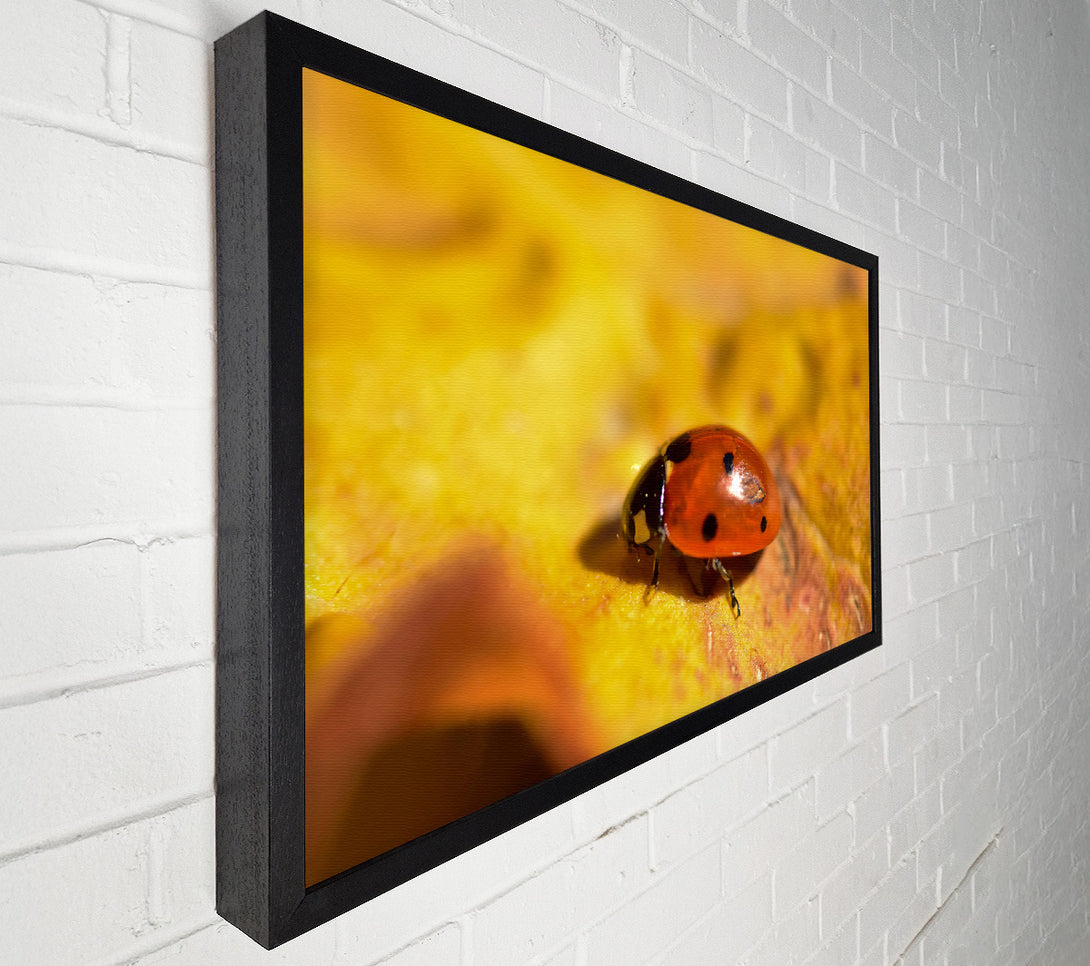  A Canvas Print of Golden Ladybug Stroll Canvas Wall Art