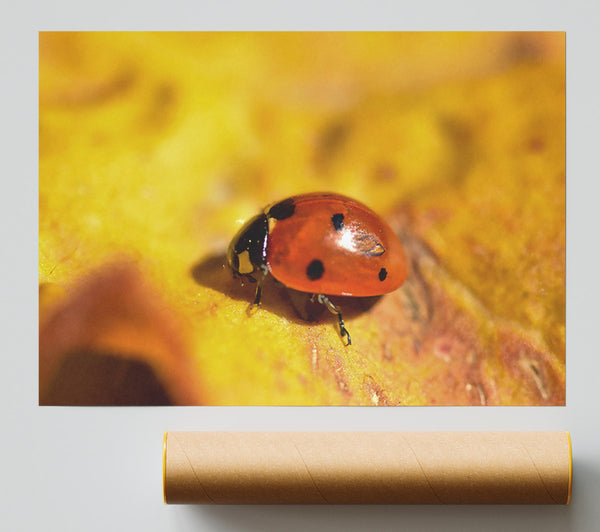 Golden Ladybug Stroll Giclee Print