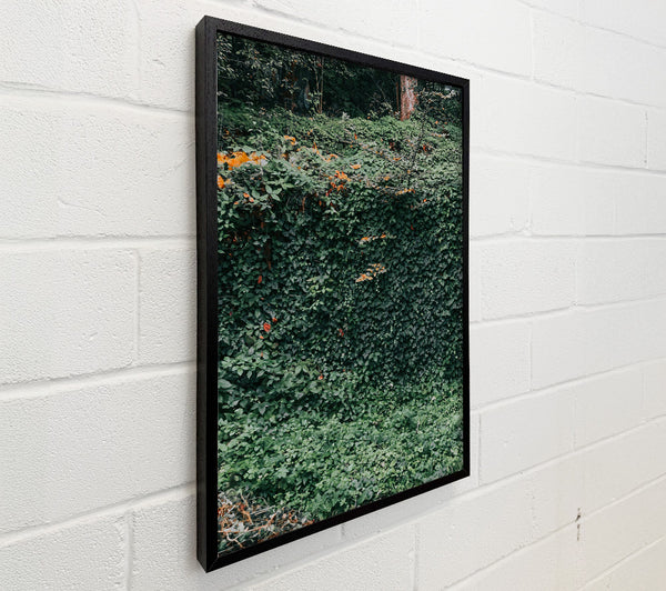Emerald Green Wall