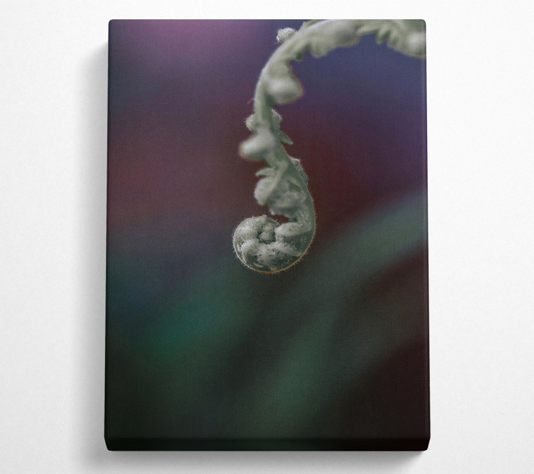  A Canvas Print of Green Fern Unfurling Canvas Art