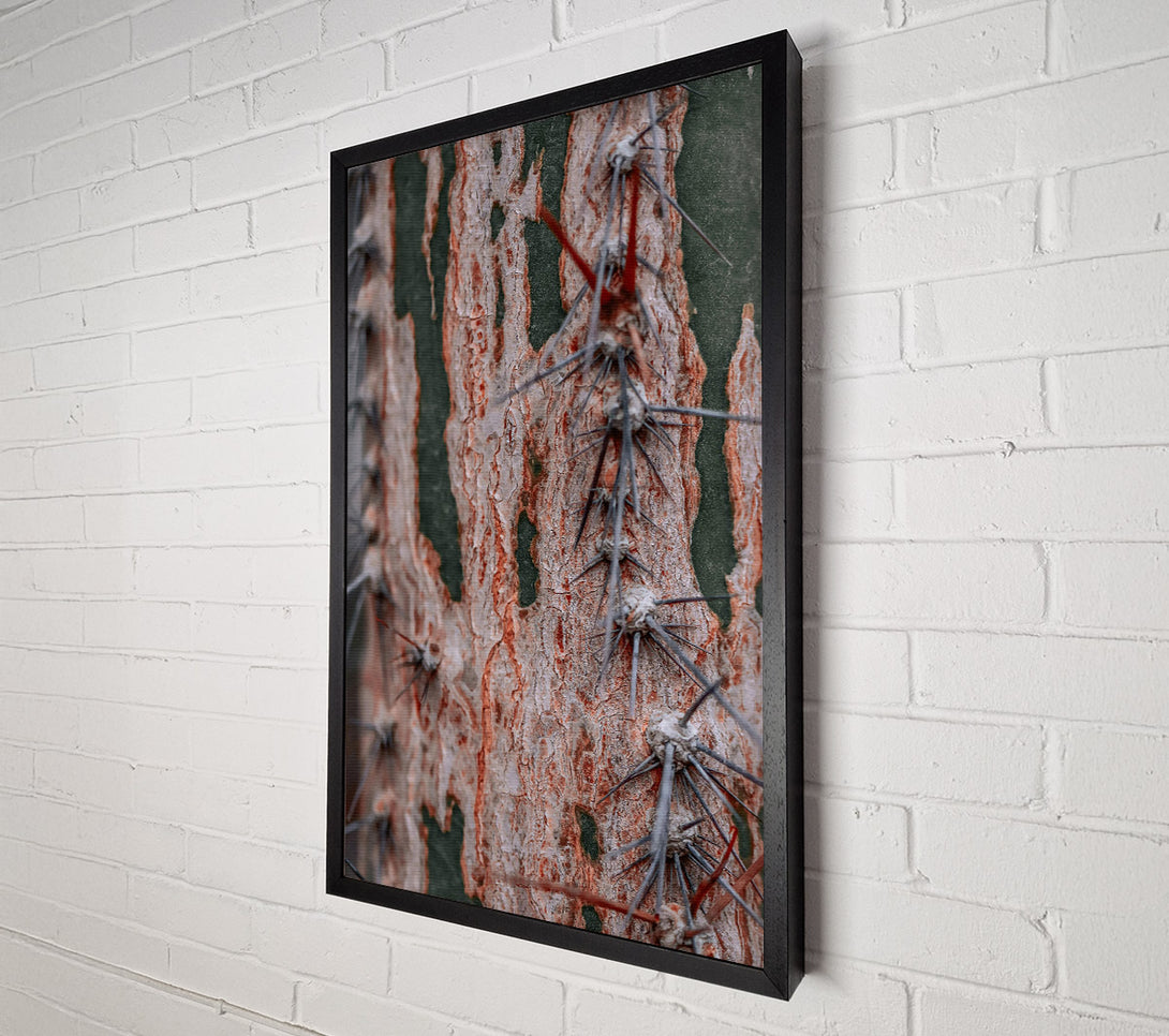  A Canvas Print of Russet Cactus Texture Canvas Print