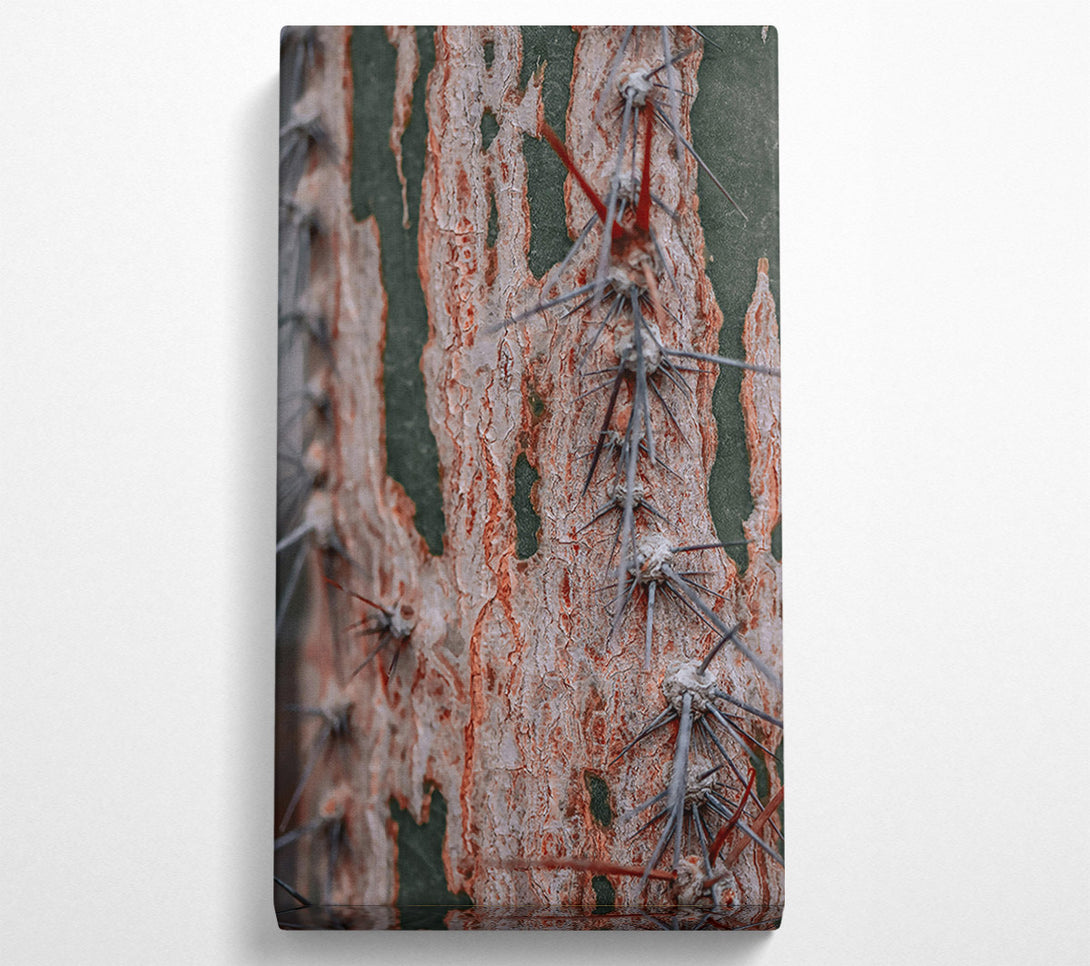  A Canvas Print of Russet Cactus Texture Canvas Print