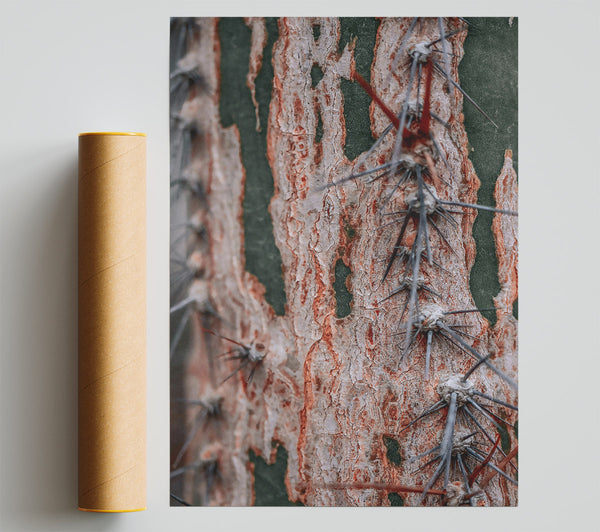 Russet Cactus Texture Giclee Print