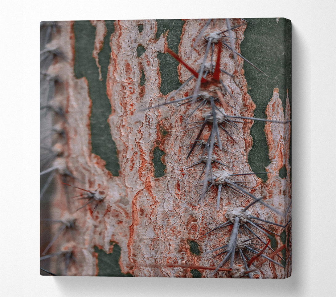  A Canvas Print of Russet Cactus Texture Canvas Print
