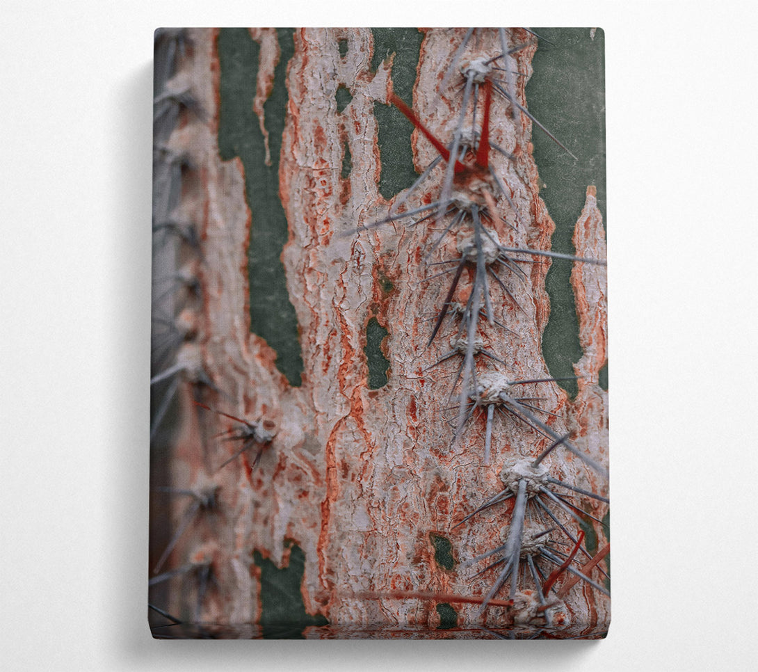  A Canvas Print of Russet Cactus Texture Canvas Print