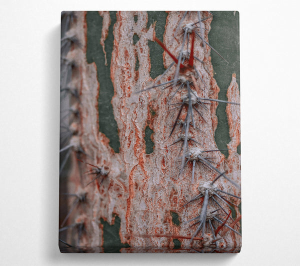  A Canvas Print of Russet Cactus Texture Canvas Print