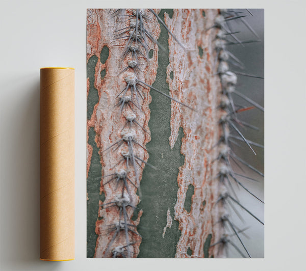 Green And Orange Thorns Poster