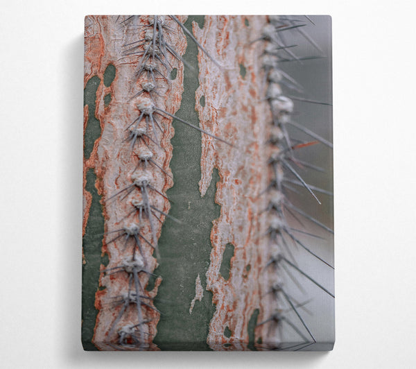  A Canvas Print of Green And Orange Thorns Canvas Art