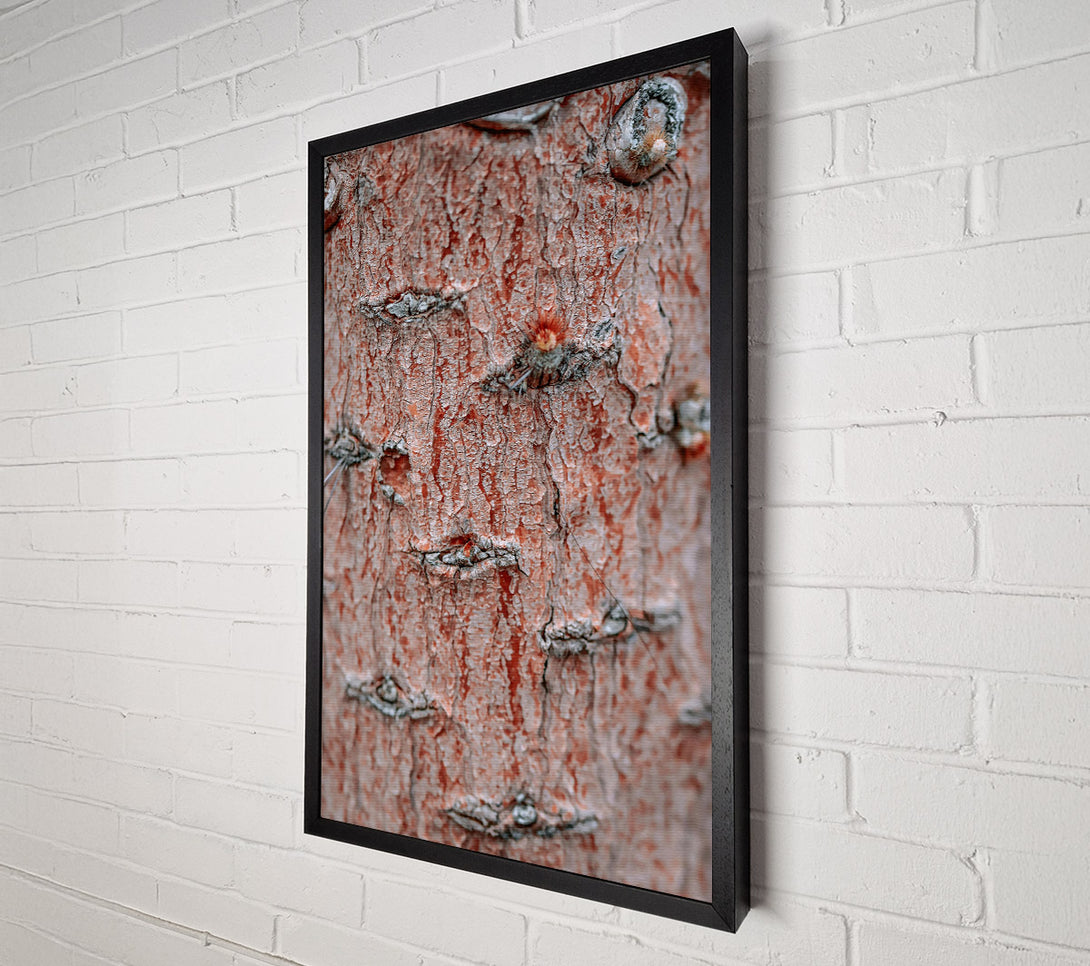  A Canvas Print of Russet Bark Texture Canvas Art