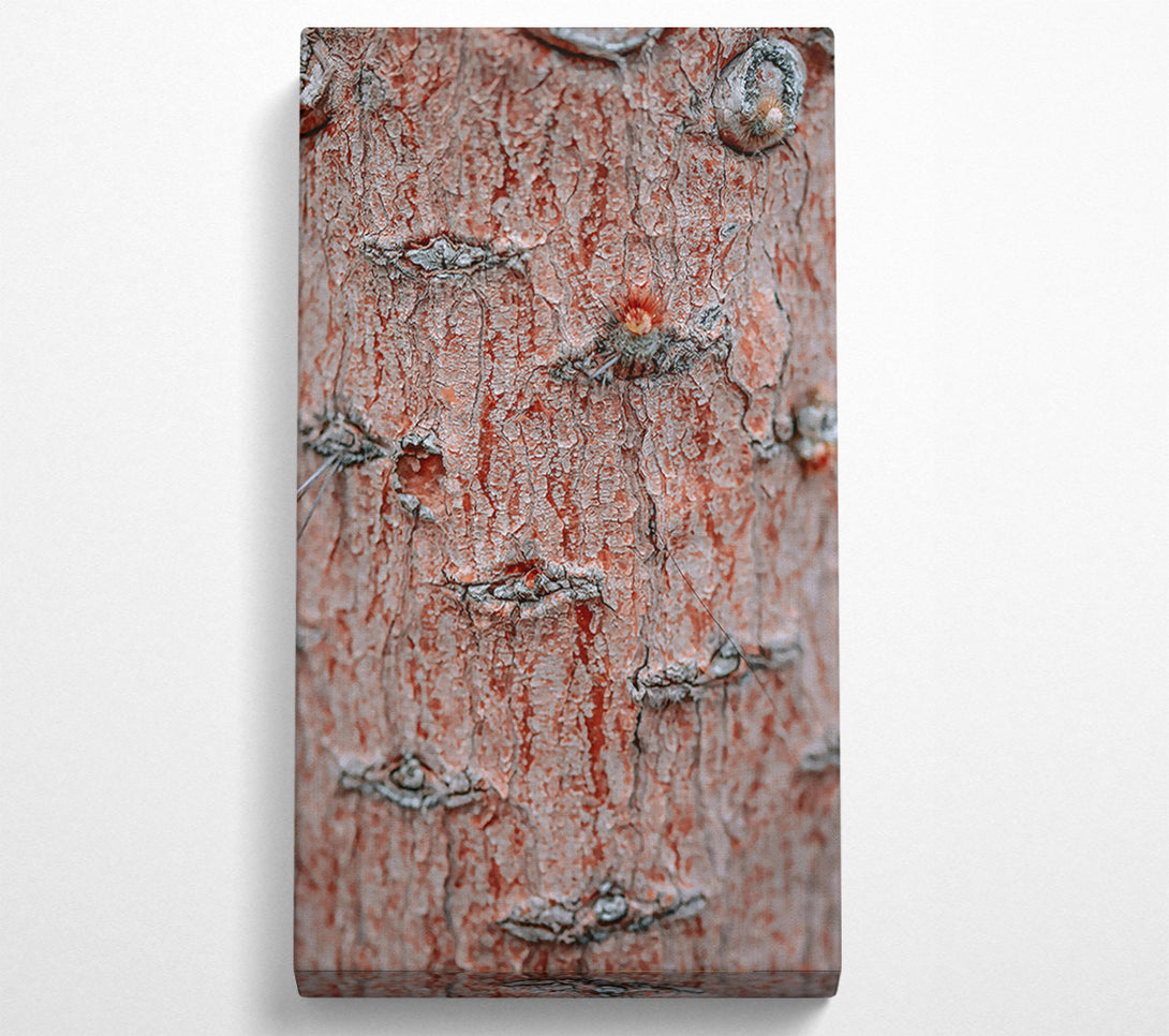  A Canvas Print of Russet Bark Texture Canvas Art