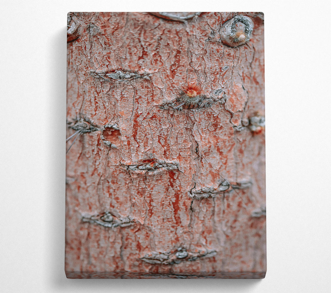  A Canvas Print of Russet Bark Texture Canvas Art