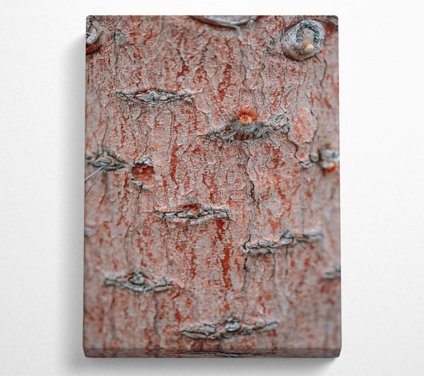  A Canvas Print of Russet Bark Texture Canvas Art