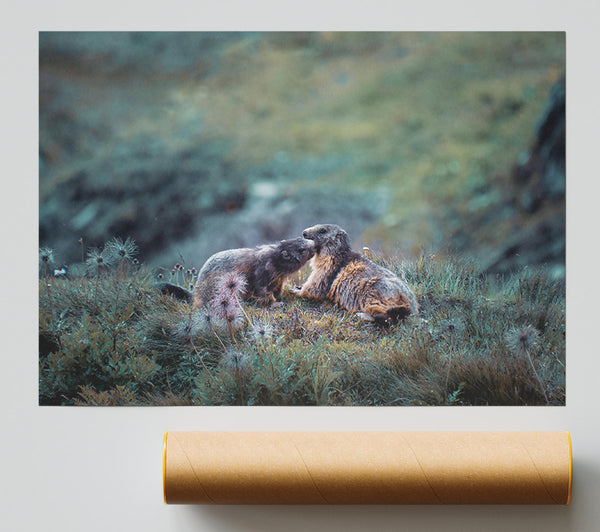 Green Mountain Marmots Giclee Print