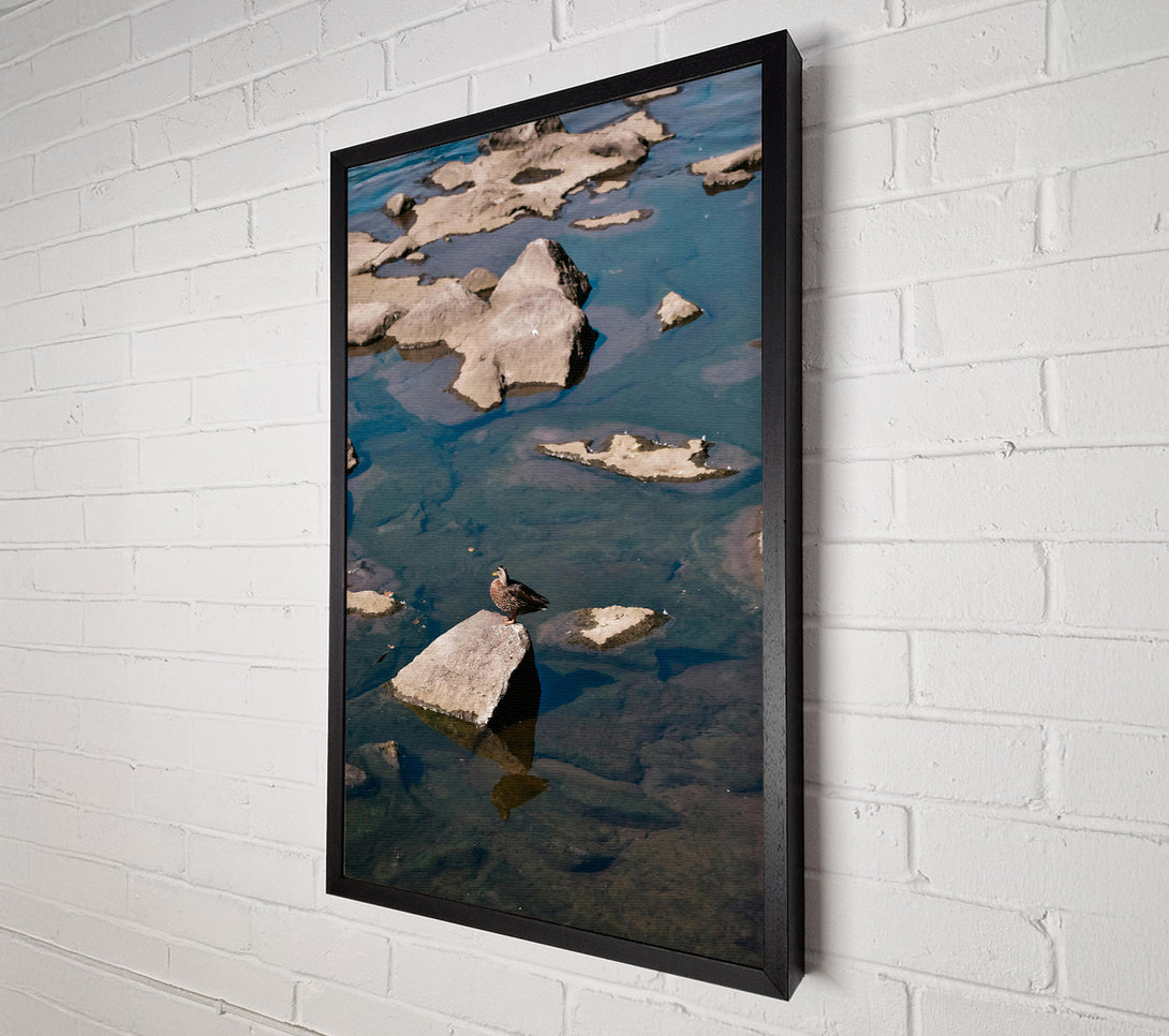 A Canvas Print of Teal Solitude On Rock Canvas Print