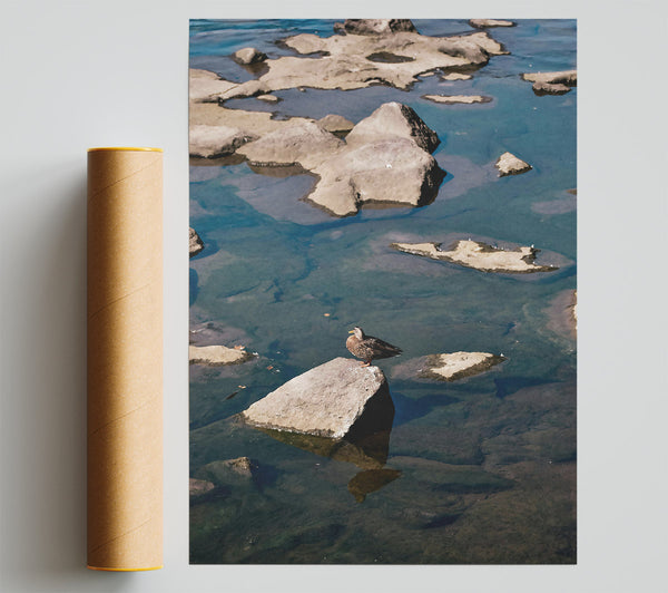 Teal Solitude On Rock Print