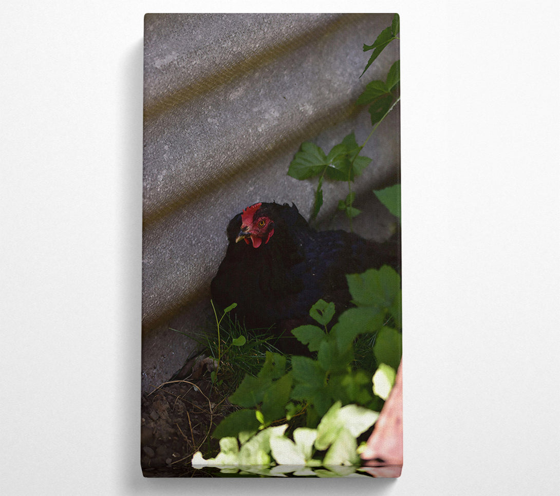  A Canvas Print of Red Crest In The Shadows Canvas Art
