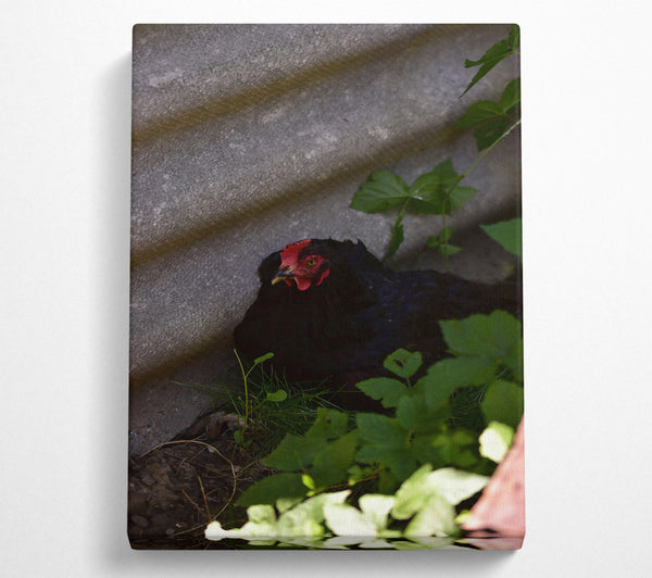  A Canvas Print of Red Crest In The Shadows Canvas Art