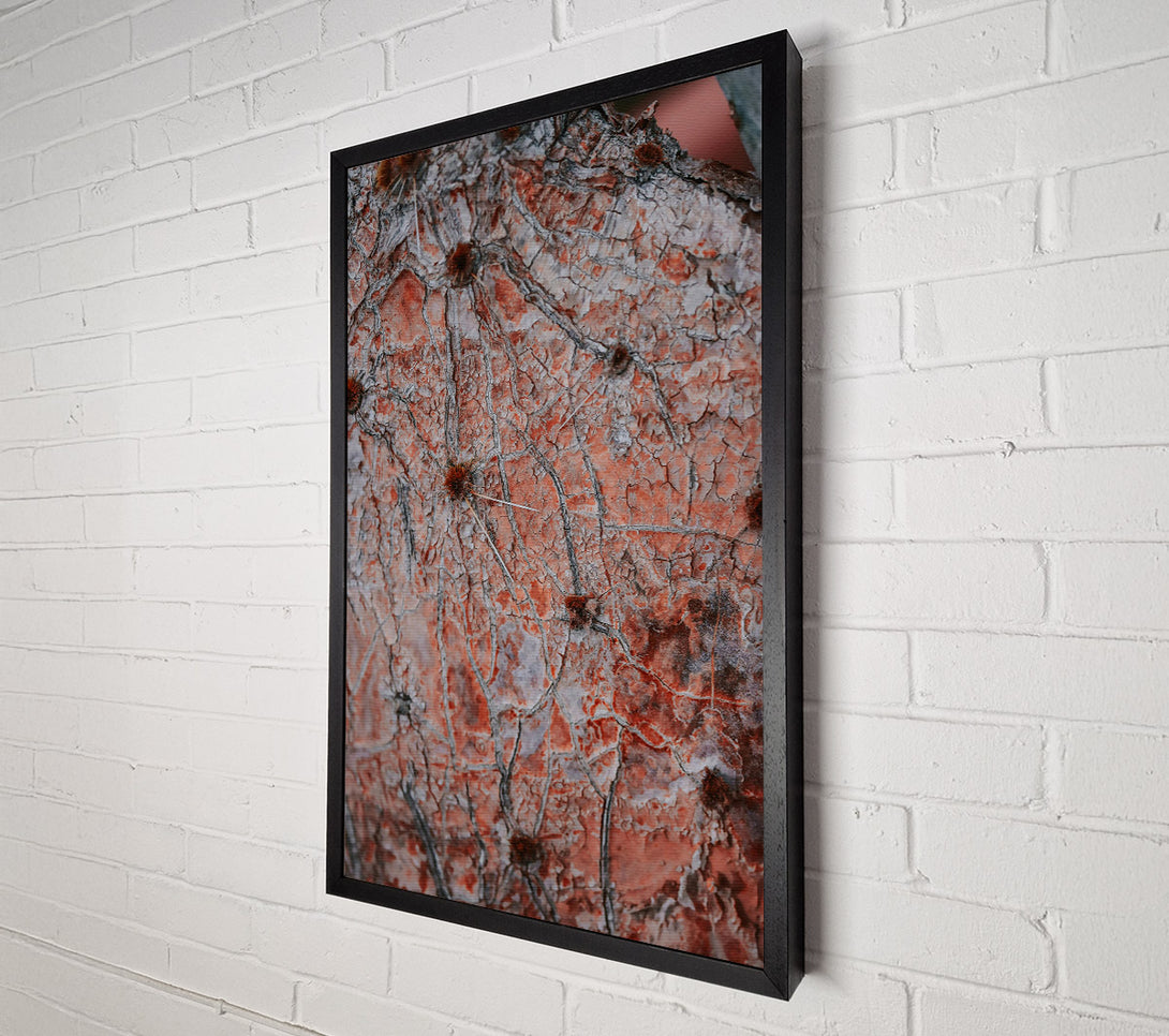  A Canvas Print of Crimson Cactus Skin Canvas Print