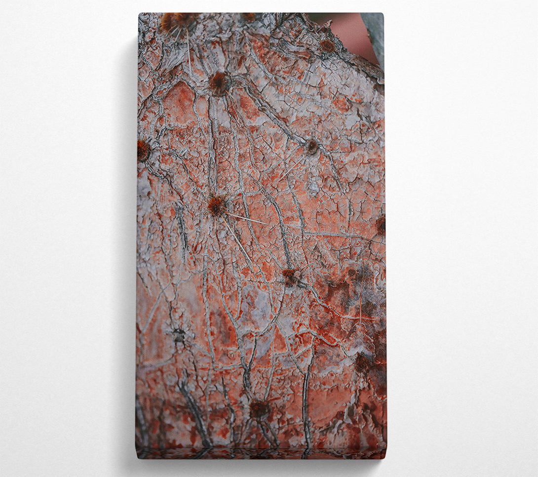  A Canvas Print of Crimson Cactus Skin Canvas Print