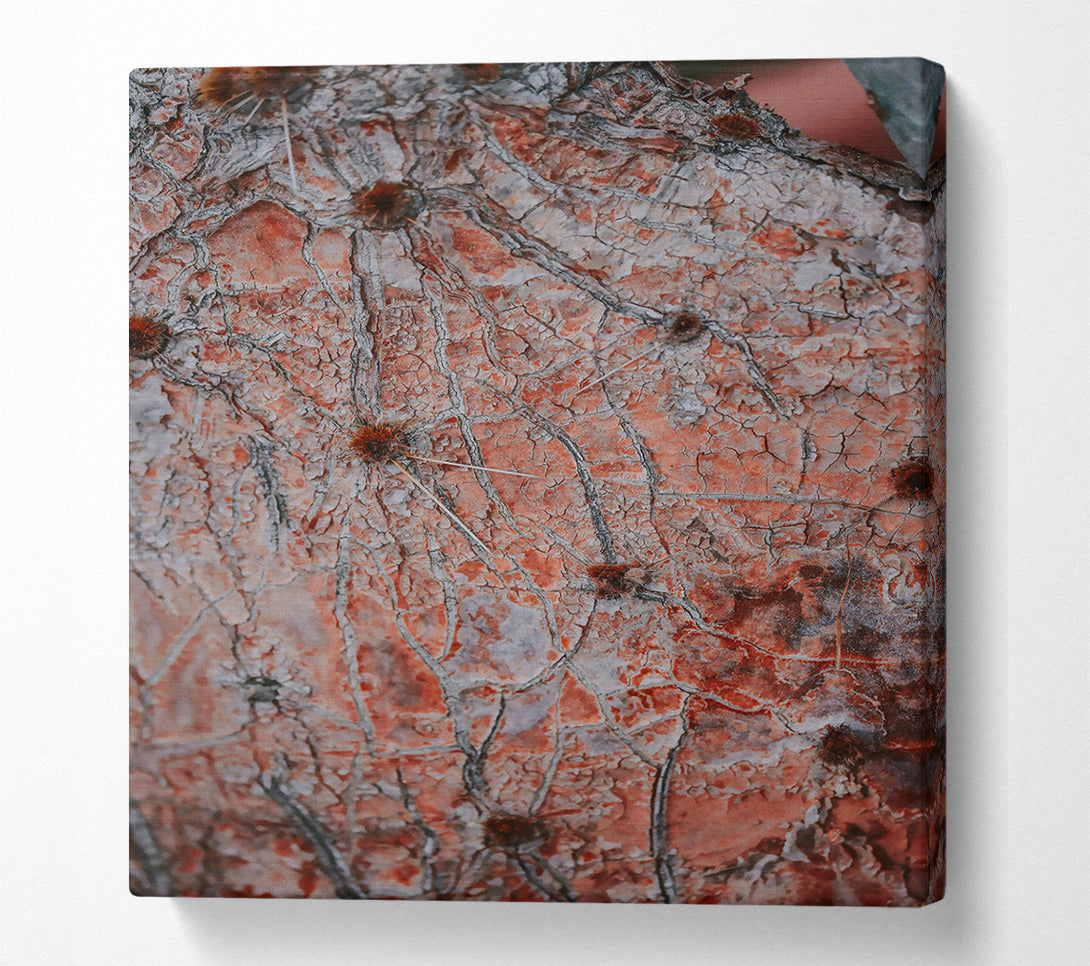  A Canvas Print of Crimson Cactus Skin Canvas Print