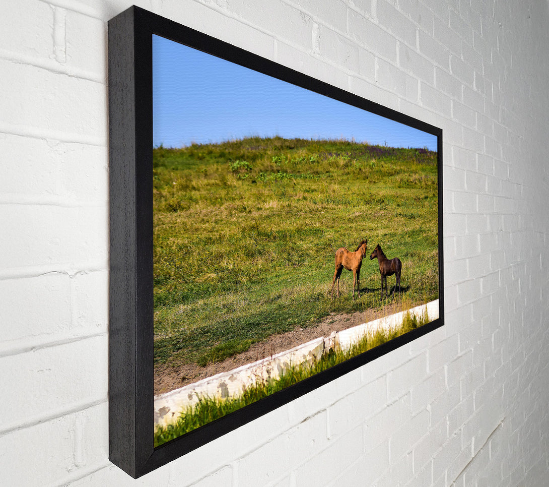  A Canvas Print of Brown Horse Meeting Canvas Art