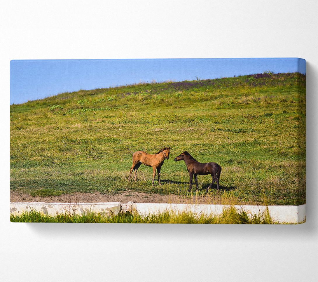  A Canvas Print of Brown Horse Meeting Canvas Art