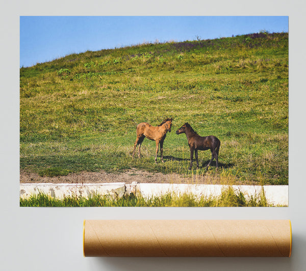 Brown Horse Meeting Giclee Print
