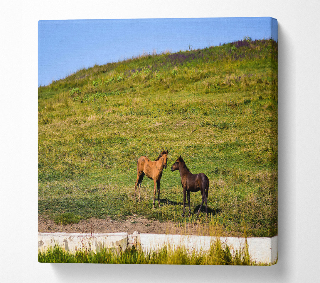  A Canvas Print of Brown Horse Meeting Canvas Art