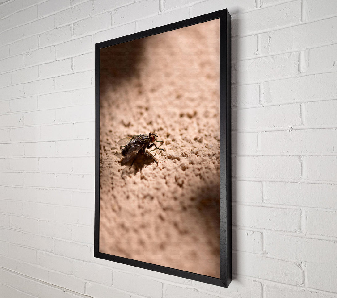  A Canvas Print of Beige Fly'S Shadow Canvas Art