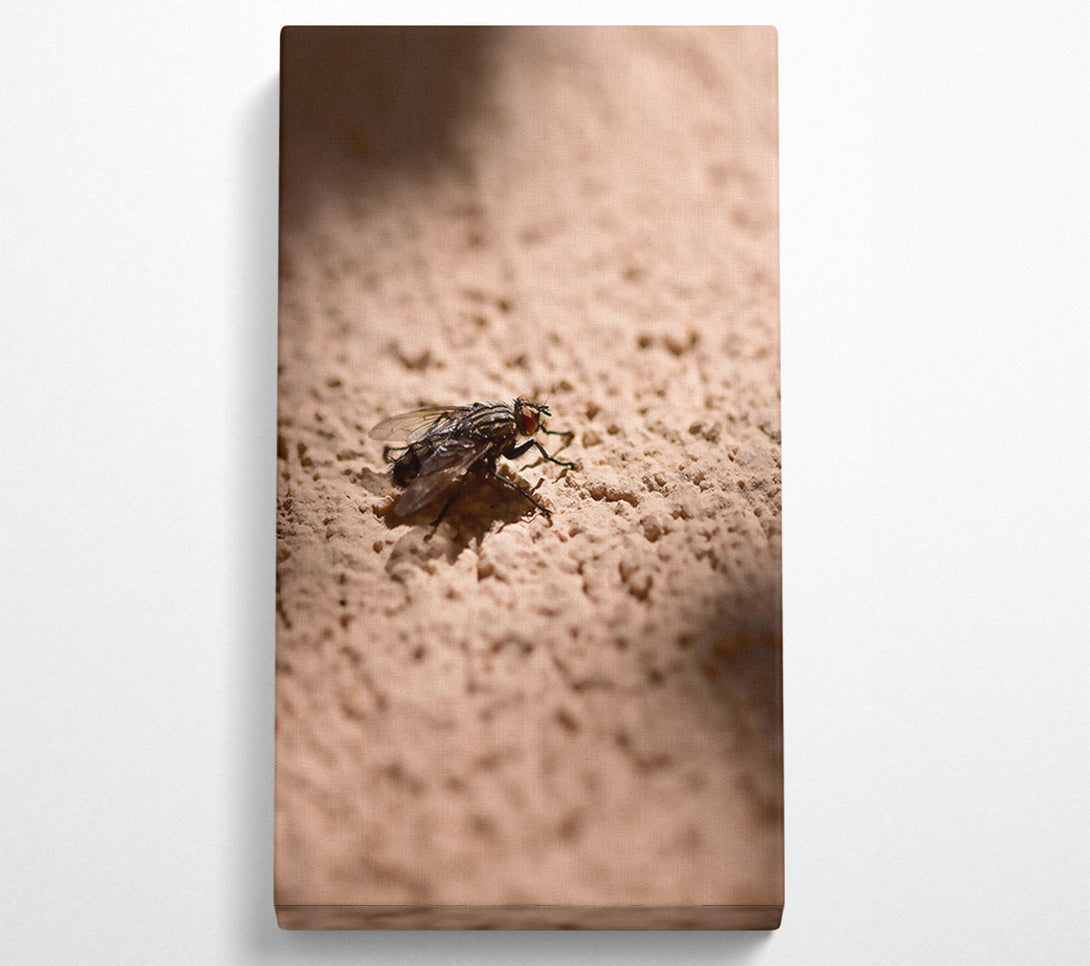  A Canvas Print of Beige Fly'S Shadow Canvas Art