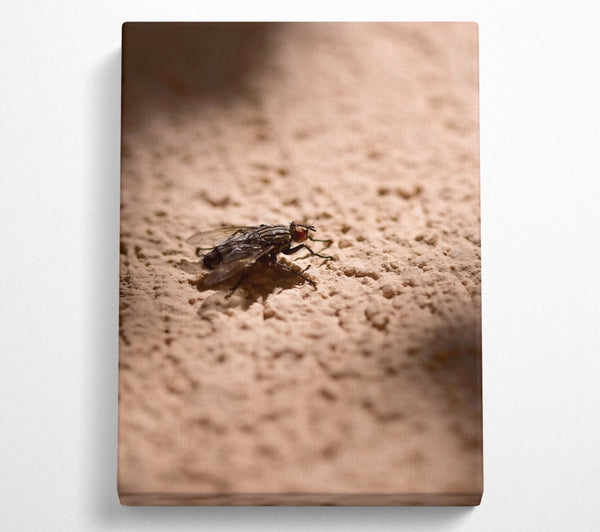  A Canvas Print of Beige Fly'S Shadow Canvas Art