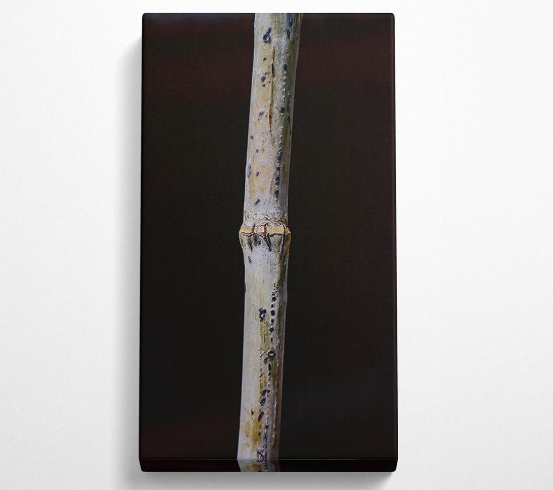  A Canvas Print of The White Twig Canvas Art