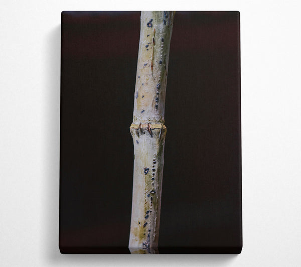  A Canvas Print of The White Twig Canvas Art