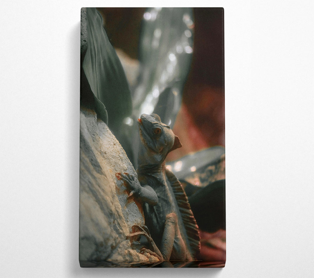  A Canvas Print of Grey Lizard On Rock Canvas Print
